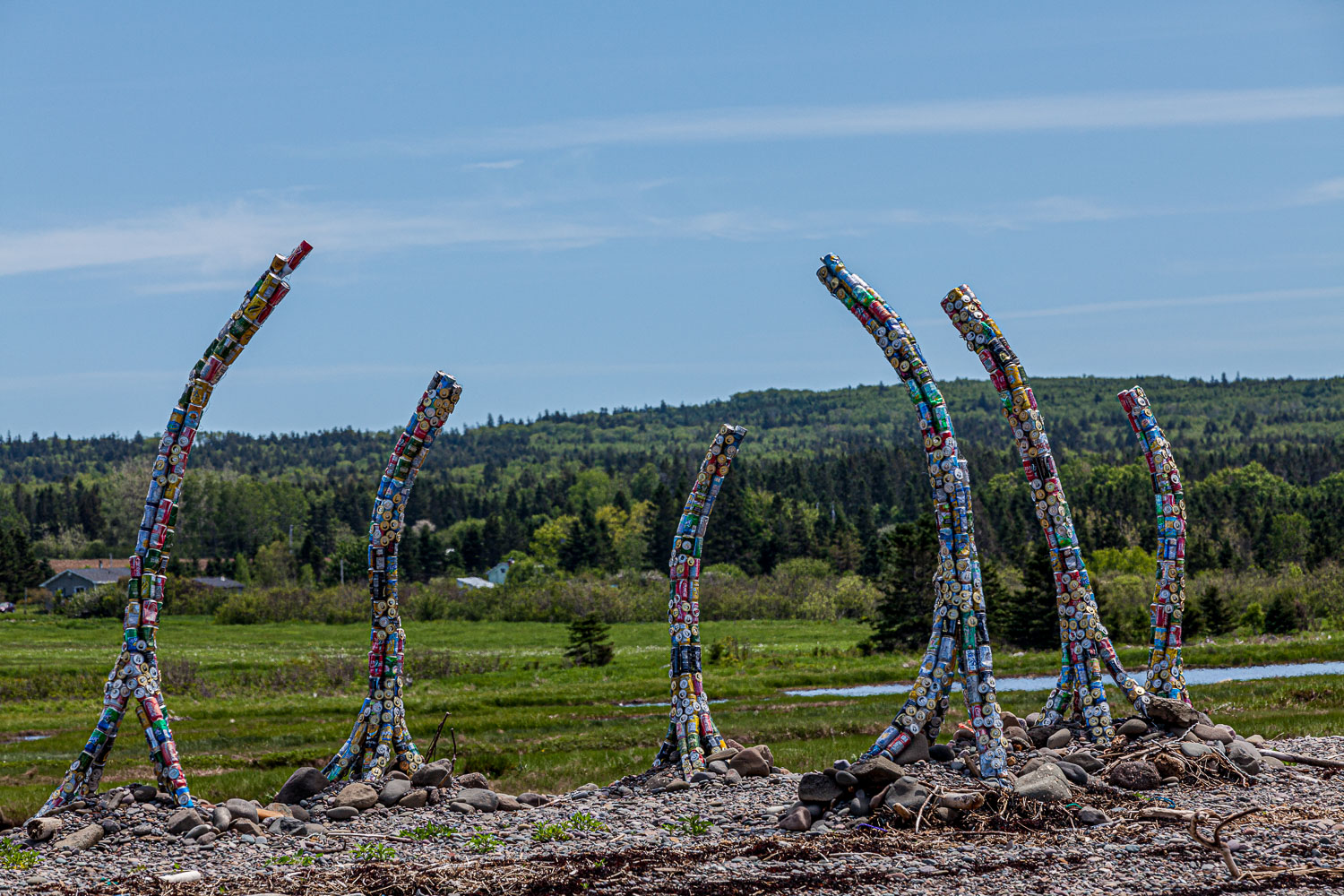 ScottsBay_15_65875__MG_8228.jpg