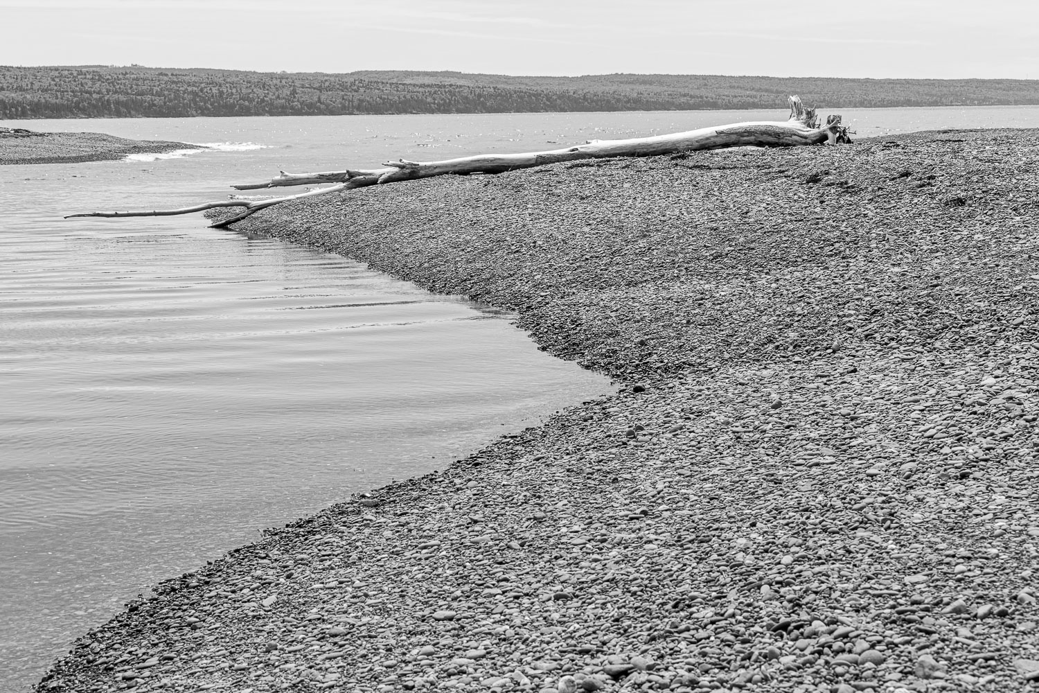 ScottsBay_15_65876__MG_8229.jpg