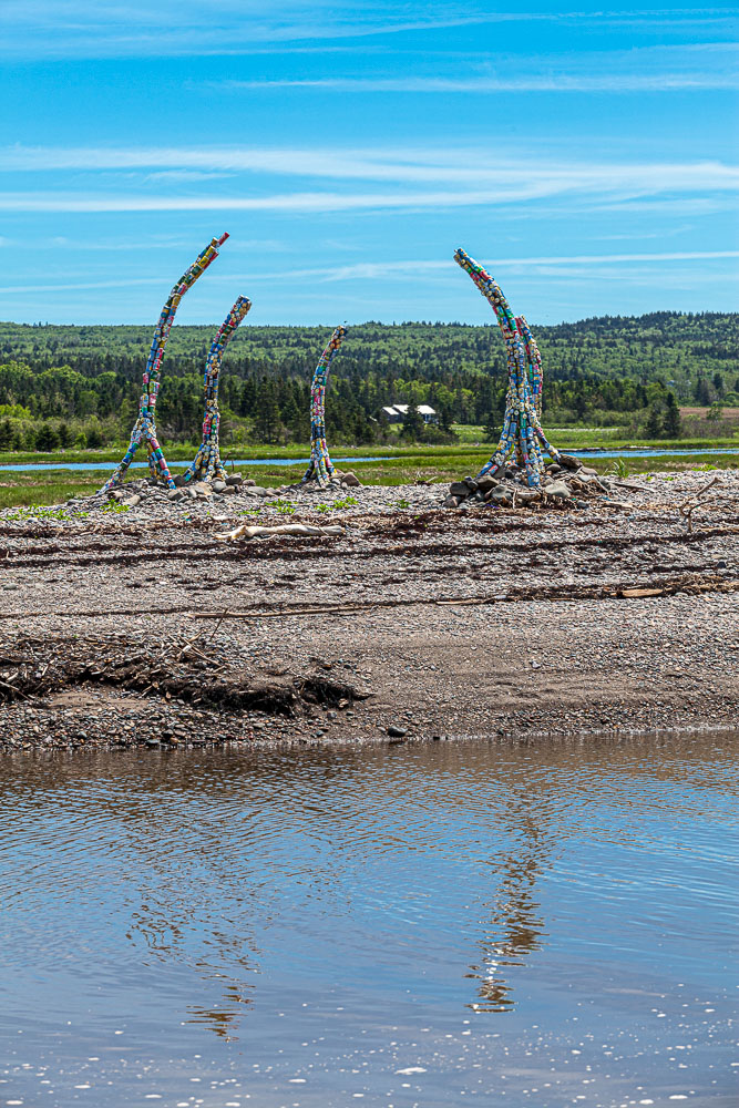 ScottsBay_15_65878__MG_8231.jpg