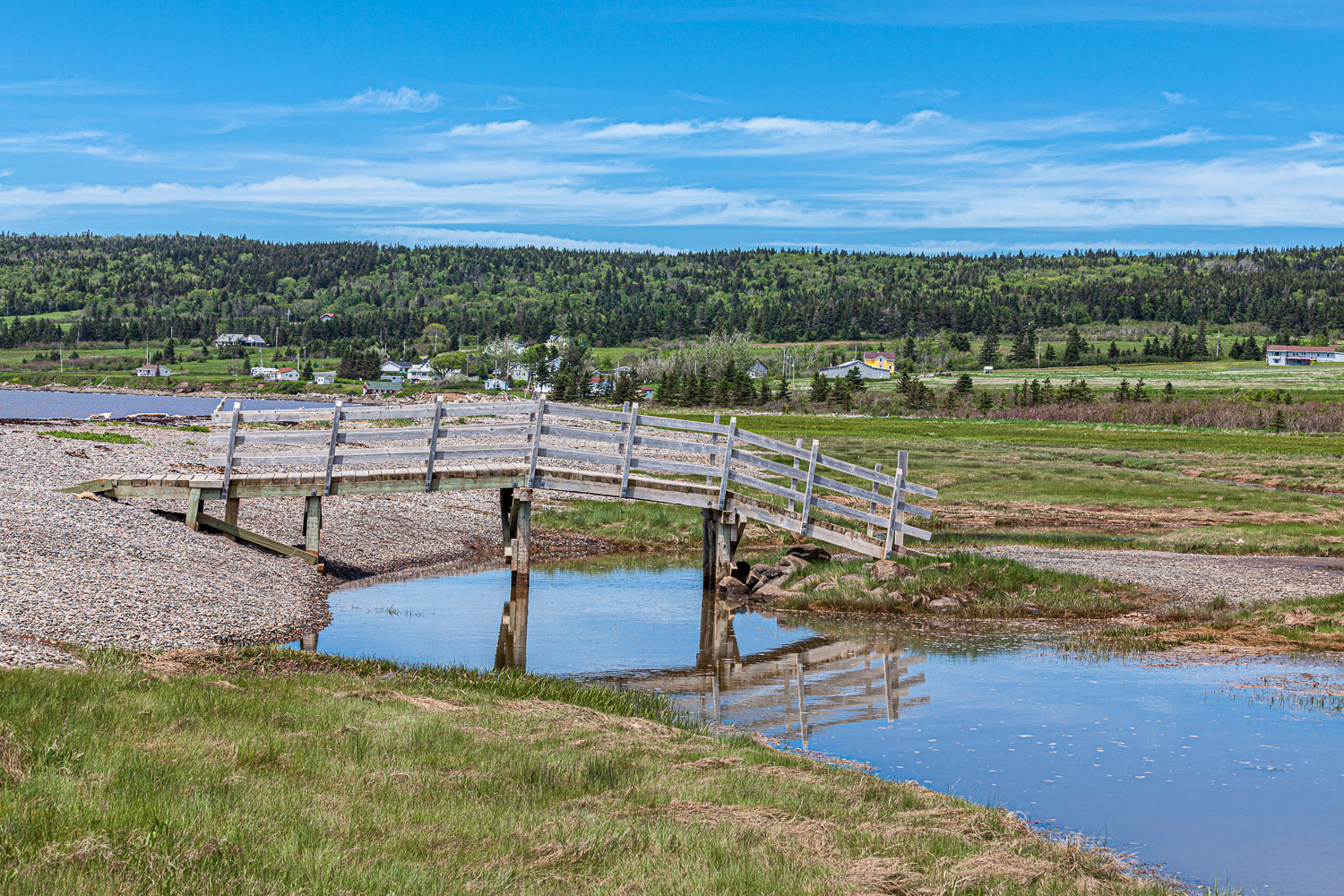 ScottsBay_15_65879__MG_8232.jpg