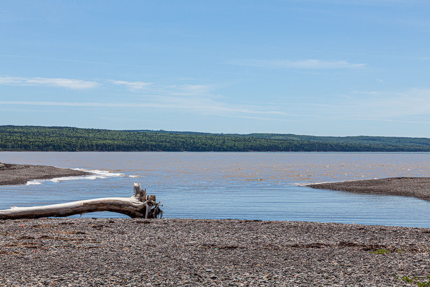 ScottsBay_15_65880__MG_8233.jpg