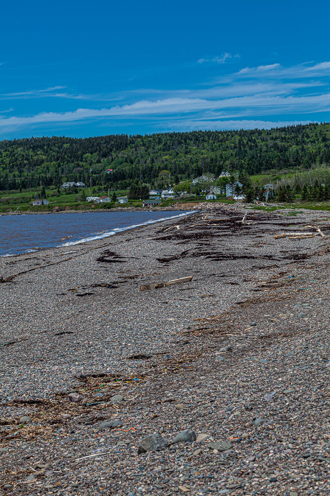 ScottsBay_15_65881__MG_8234.jpg