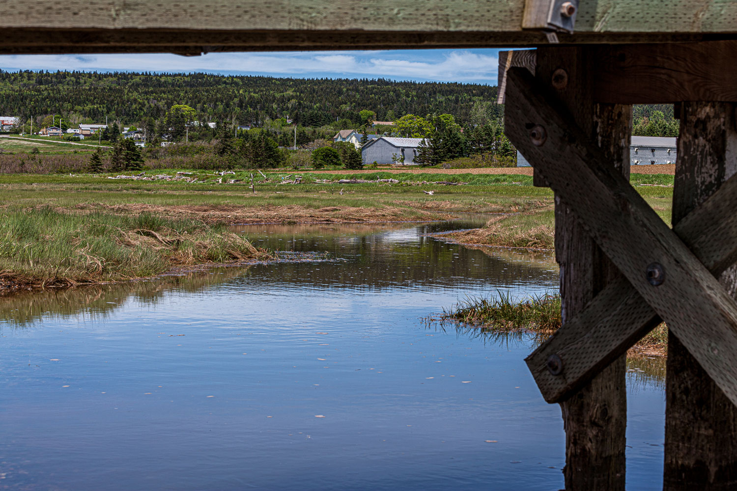 ScottsBay_15_65882__MG_8235.jpg