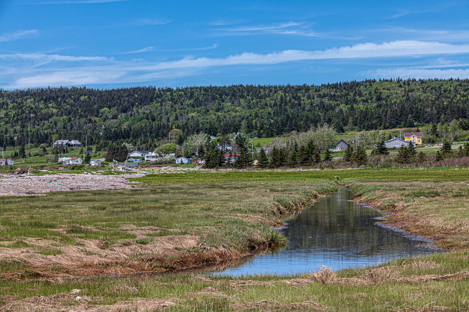 ScottsBay_15_65886__MG_8239.jpg