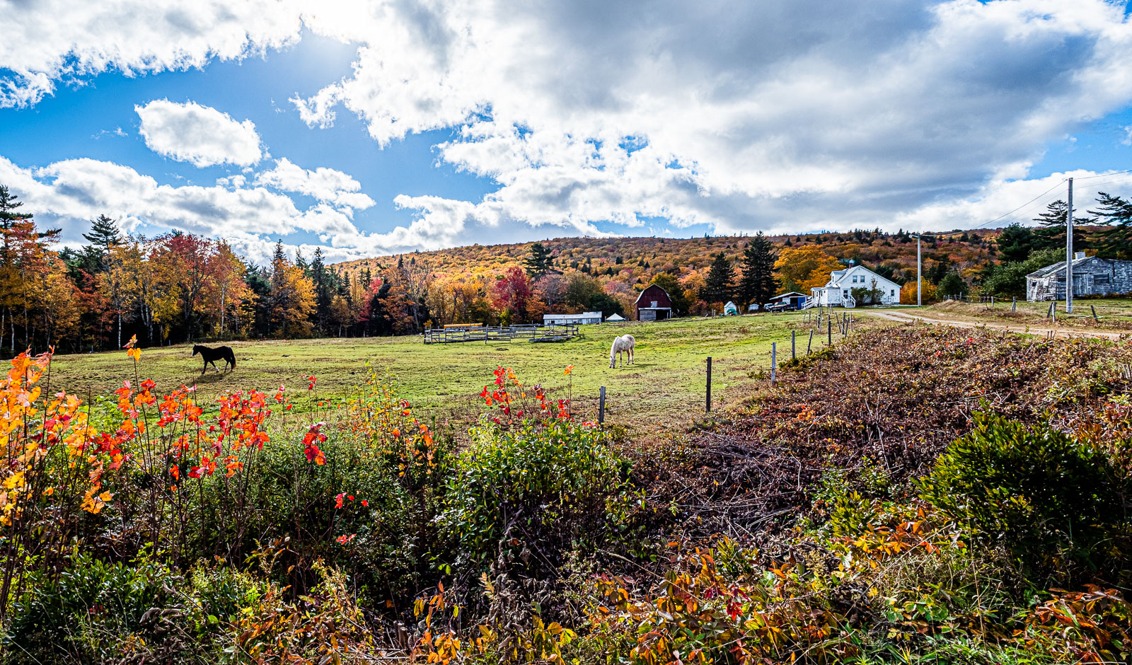 Cape_18_93324__A190016-HDR-Pano.jpg