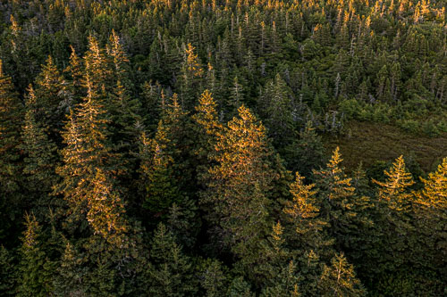 Durells_21_109392_DJI_0838-HDR.jpg