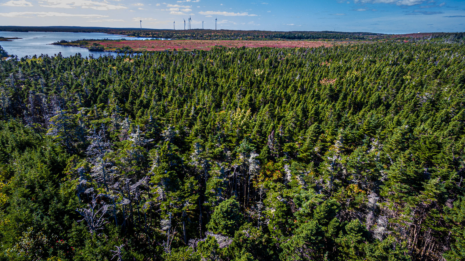 PEI_17_85196_DJI_0122-HDR.jpg