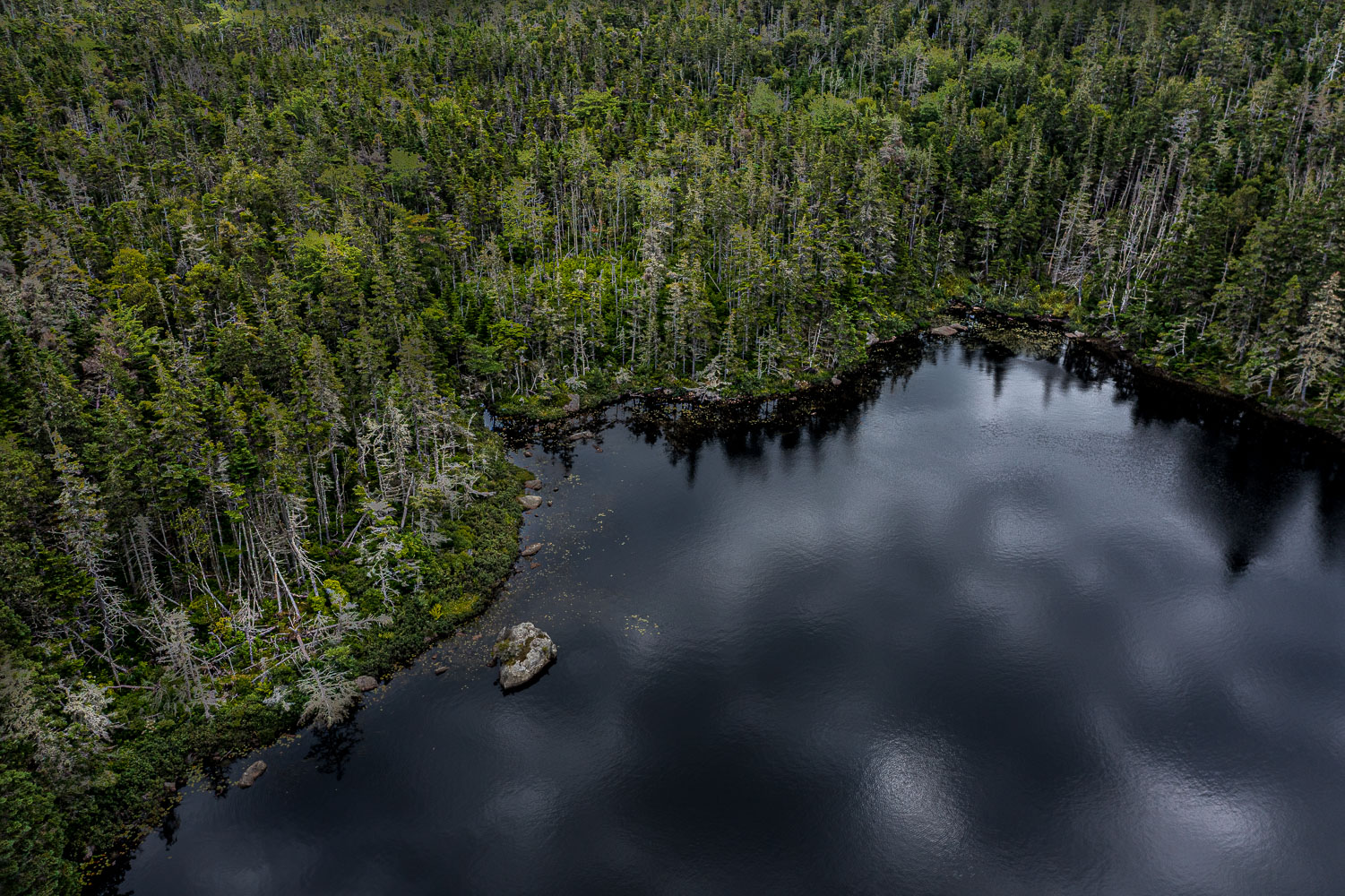 Fox_21_109554_DJI_0867-HDR.jpg