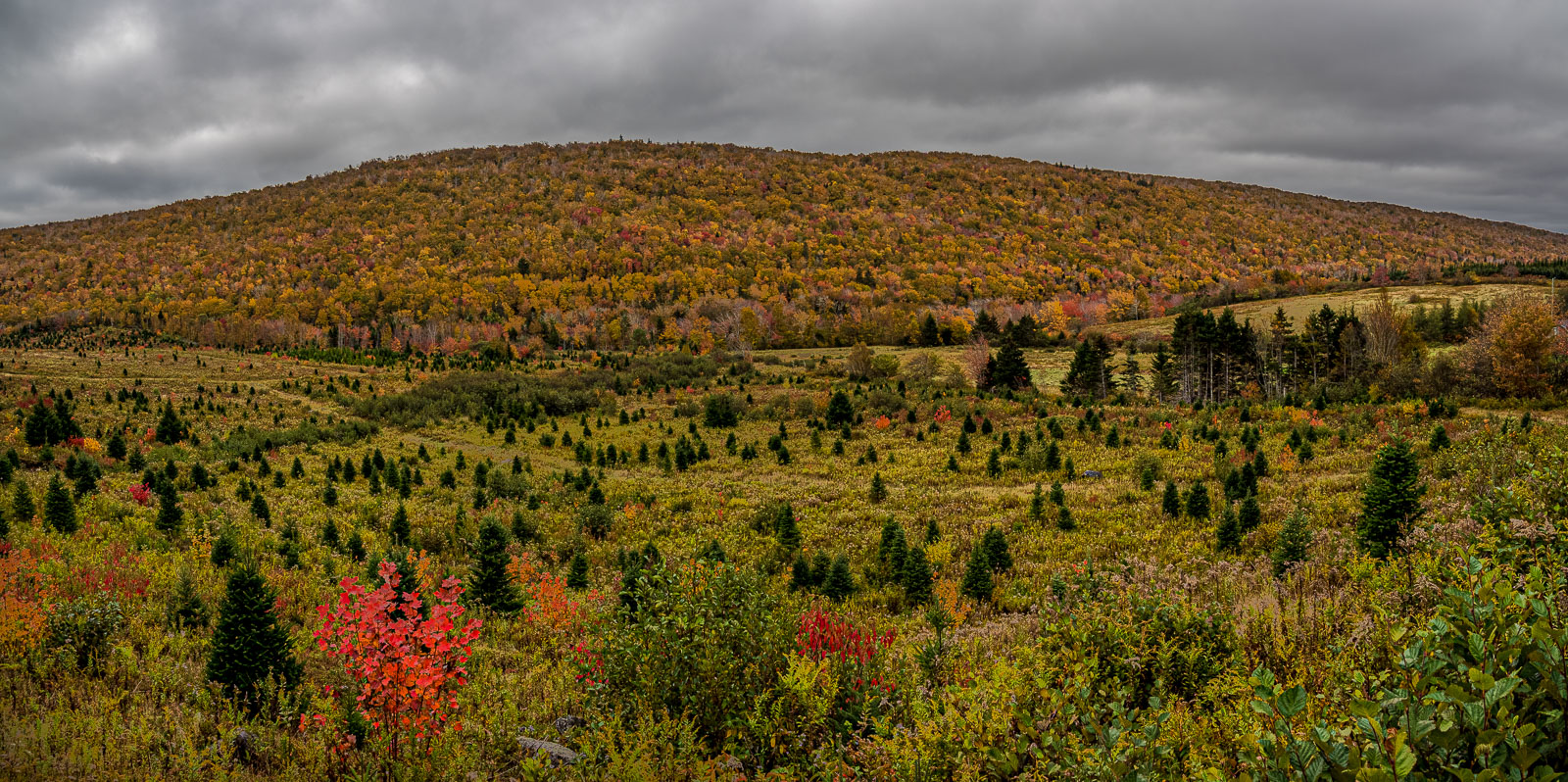 Guy_19_101988__A140198-HDR-Pano.jpg