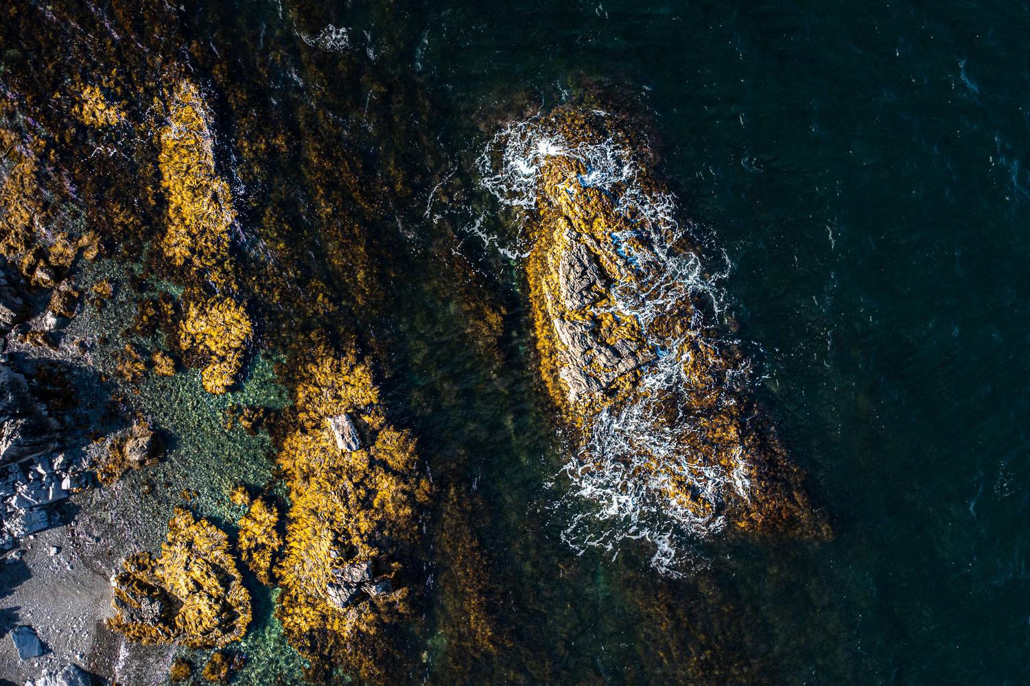 HalfIsland__211112_112140_DJI_0133-HDR.jpg