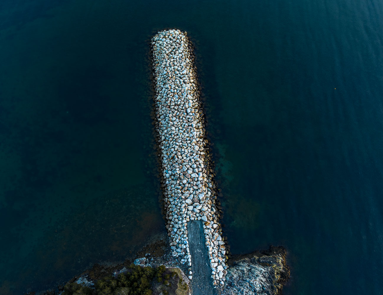 Spring_143826_DJI_0202-HDR.jpg