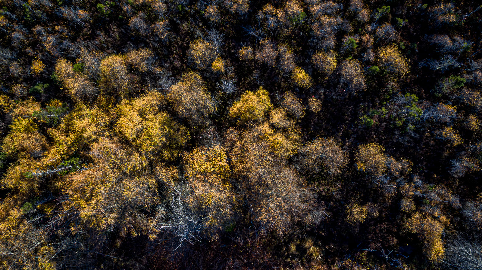 HalfIsland_16_78838_DJI_0028-HDR.jpg