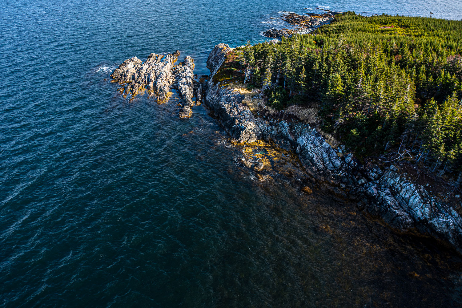 HalfIsland__211112_112143_DJI_0136-HDR.jpg