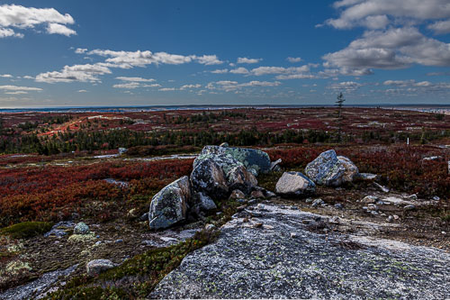 Tower_17_84780__MG_2709-HDR.jpg