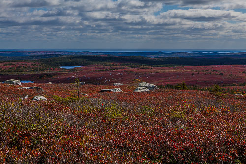 Tower_17_84804__MG_2733-HDR.jpg