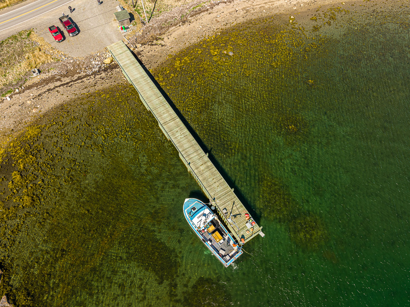 Spring_143684_DJI_0085-HDR.jpg