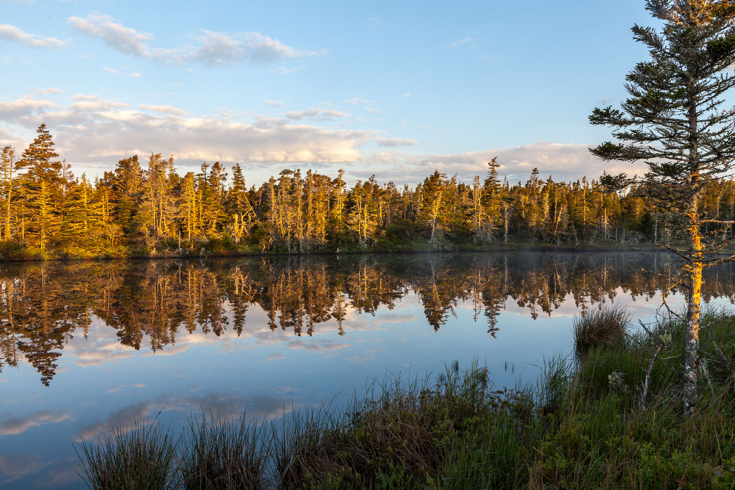 Liscomb_PF_13_40776__MG_9010.jpg