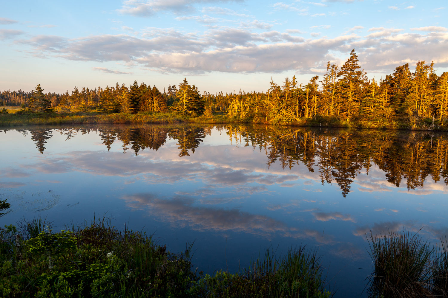 Liscomb_PF_13_40778__MG_9011.jpg