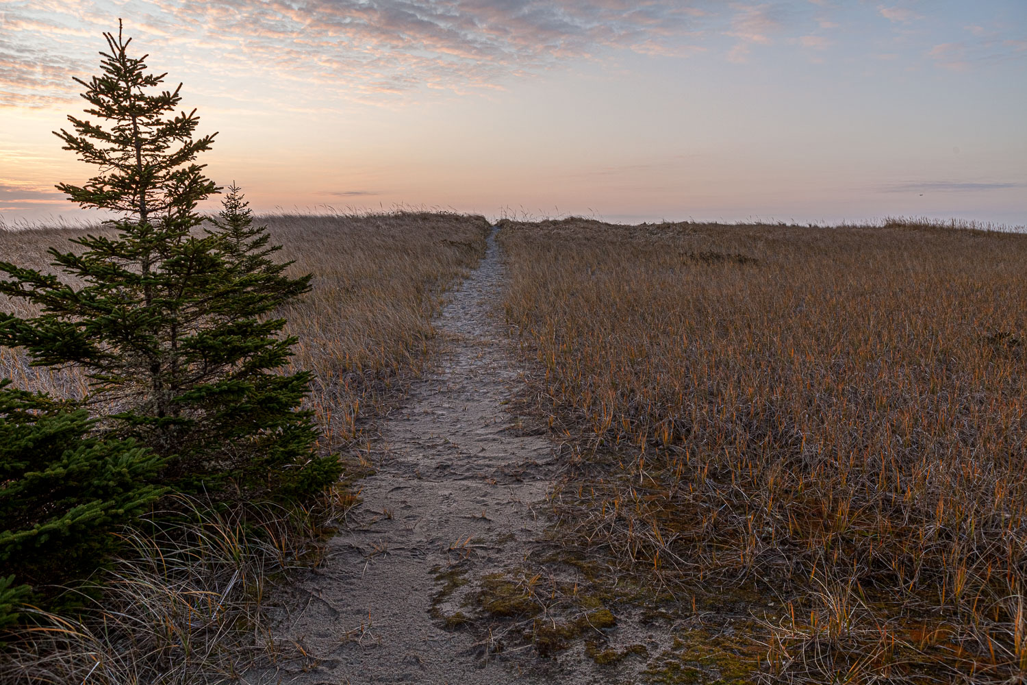 PF_11_26156__MG_0980-HDR.jpg