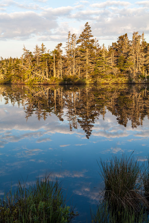 Liscomb_PF_13_40792__MG_9018.jpg