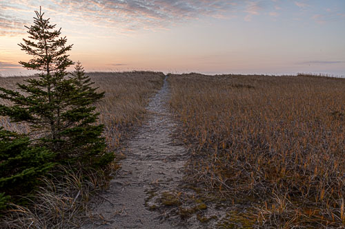 PF_11_26156__MG_0980-HDR.jpg