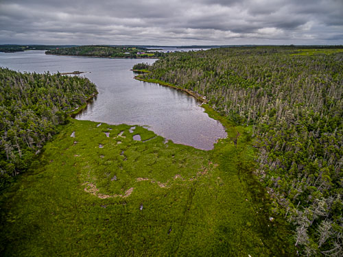 LisCot-Drone_15_66885_DJI_0732-HDR.jpg