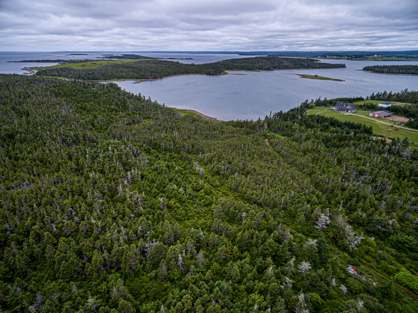 LisCot-Drone_15_66755_DJI_0602-HDR.jpg