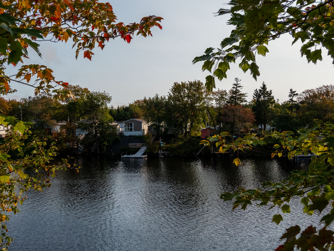 Summer_20_103453__9270673-HDR.jpg