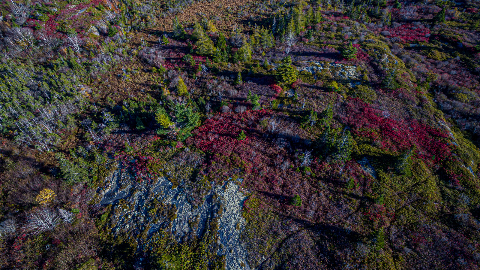 South_17_85048_DJI_0034-HDR.jpg