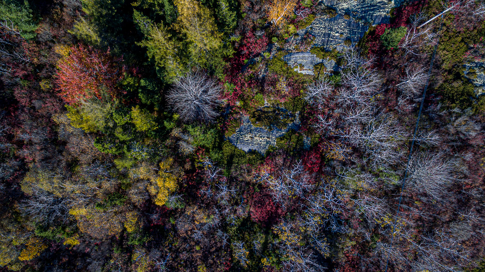 South_17_85063_DJI_0049-HDR.jpg