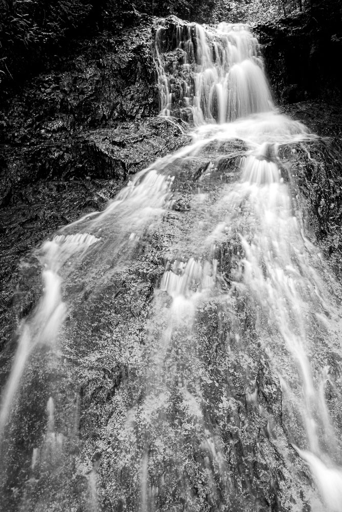 Gaspe_2013_0053__MG_0800.jpg