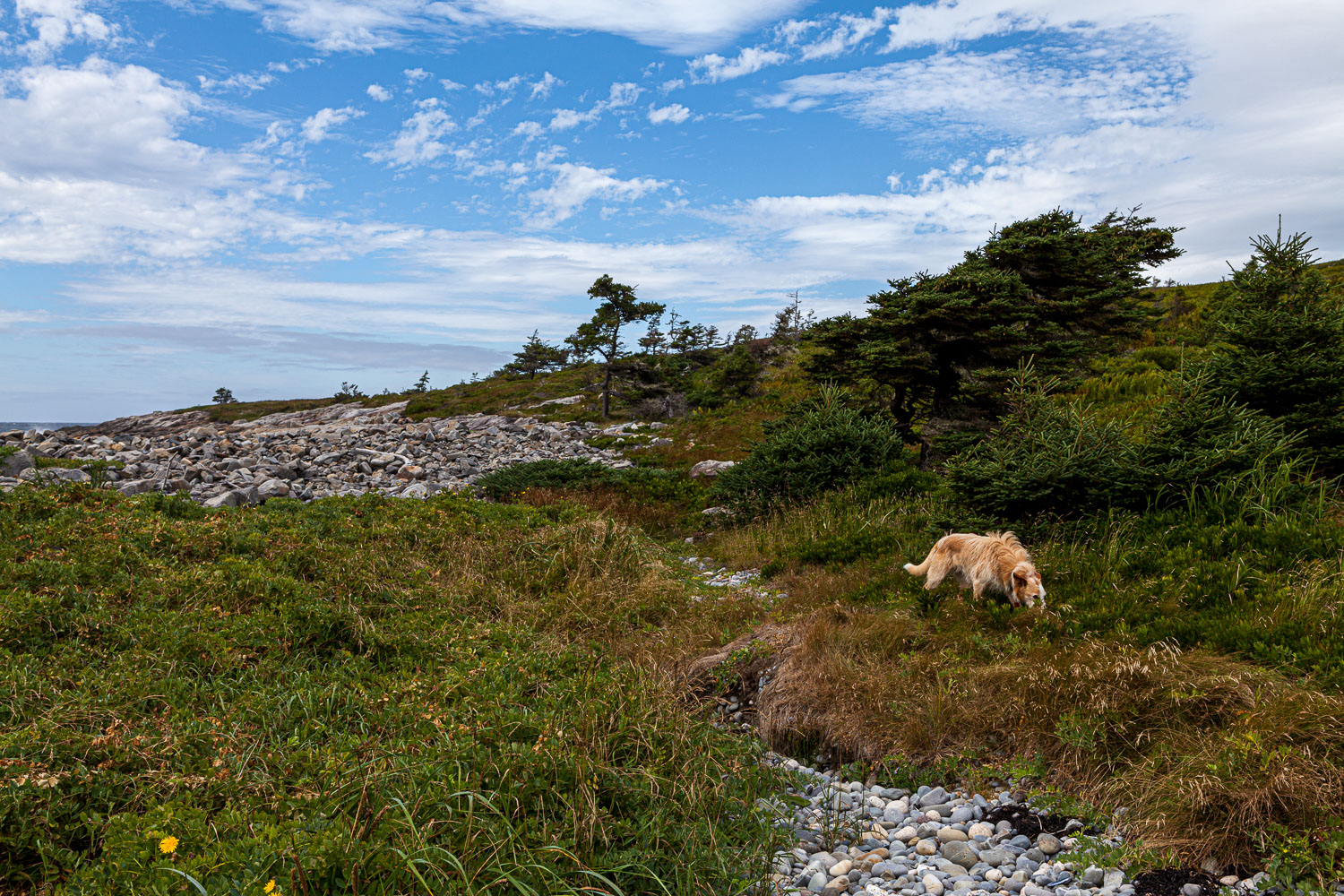 Pebble_16_74941__MG_9933.jpg