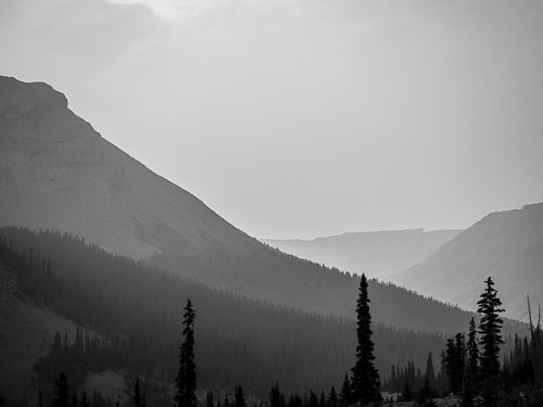 BC fires Smokey black and white