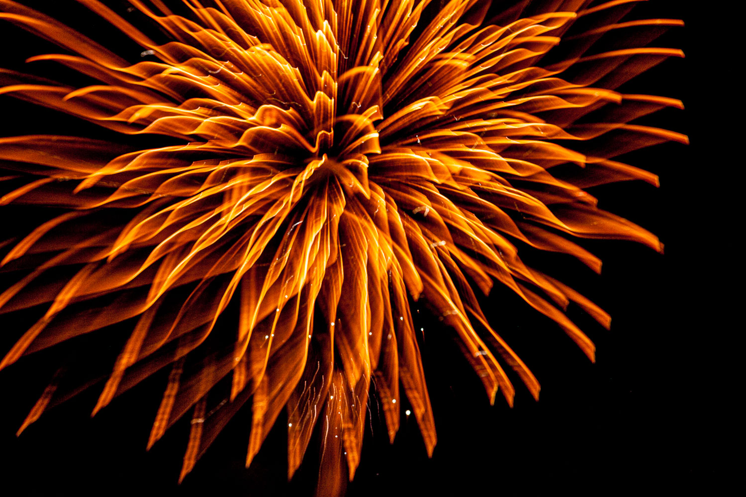 Fireworks_14_53241__MG_4411.jpg