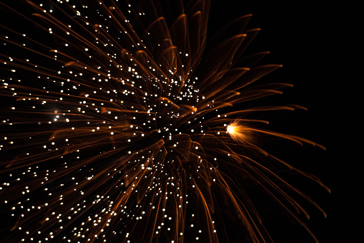 Fireworks_14_53252__MG_4422.jpg