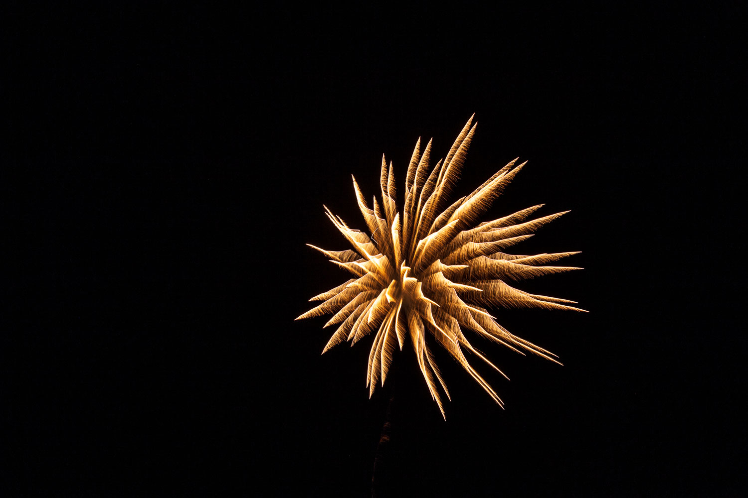 Fireworks_14_57853__MG_8942.jpg