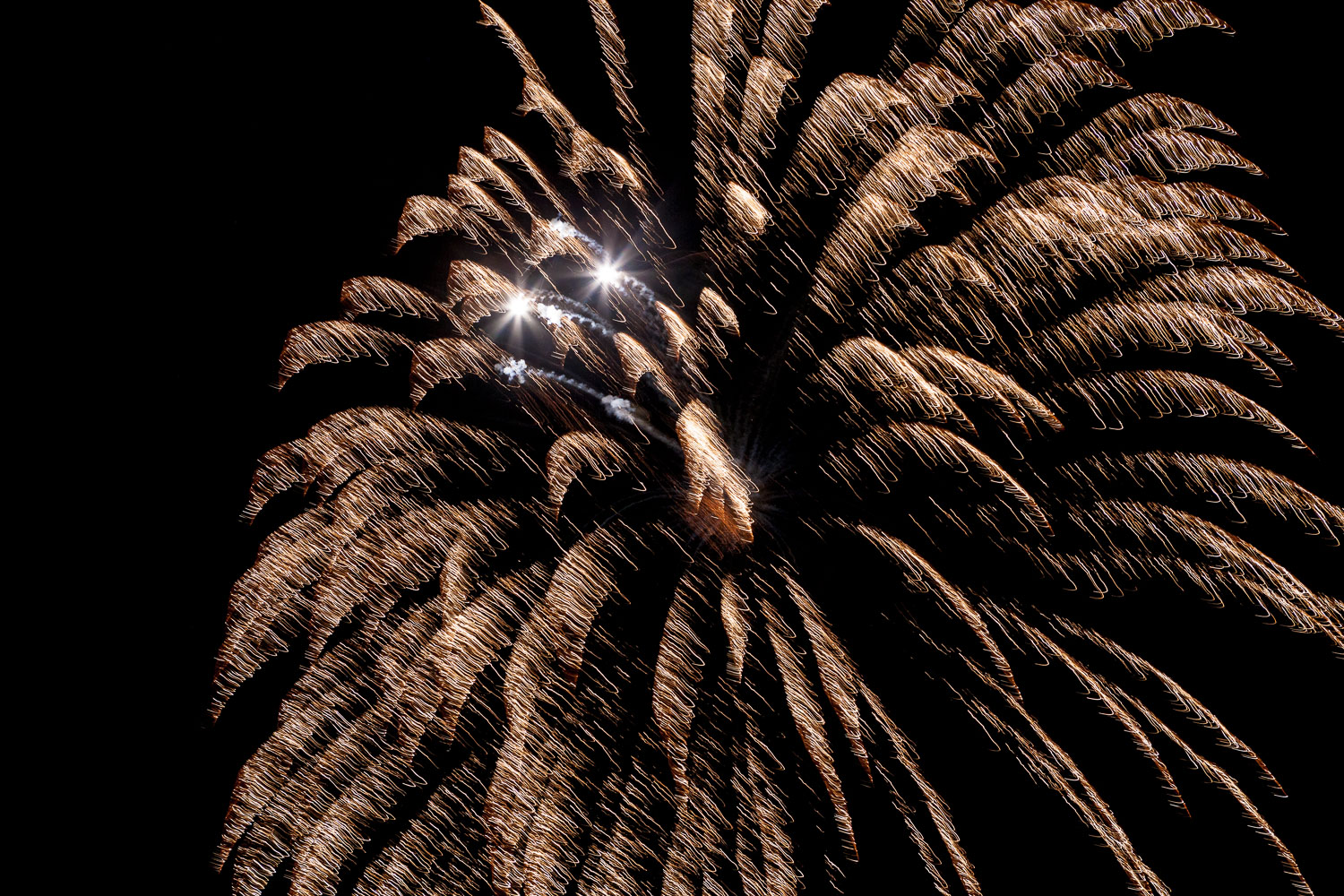 Fireworks_14_57953__MG_8992.jpg