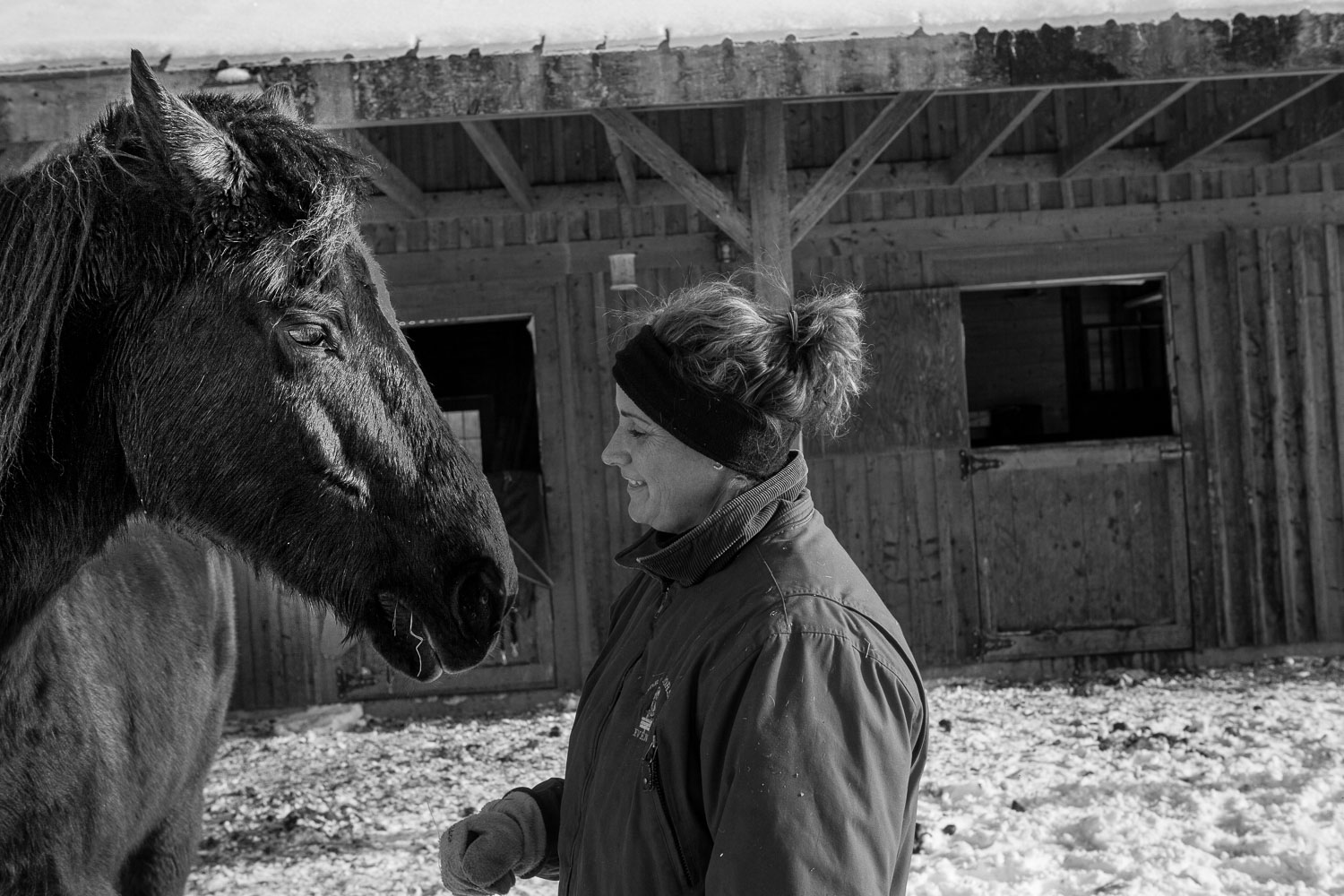 Horse_14_49043__MG_2910.jpg