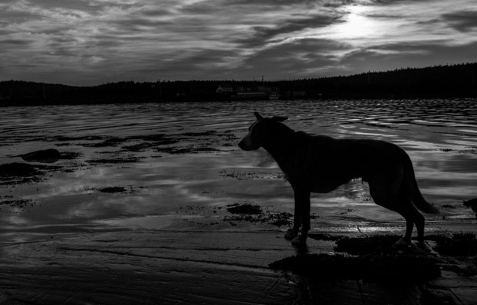 PortFelix_13_44180__MG_1019.jpg