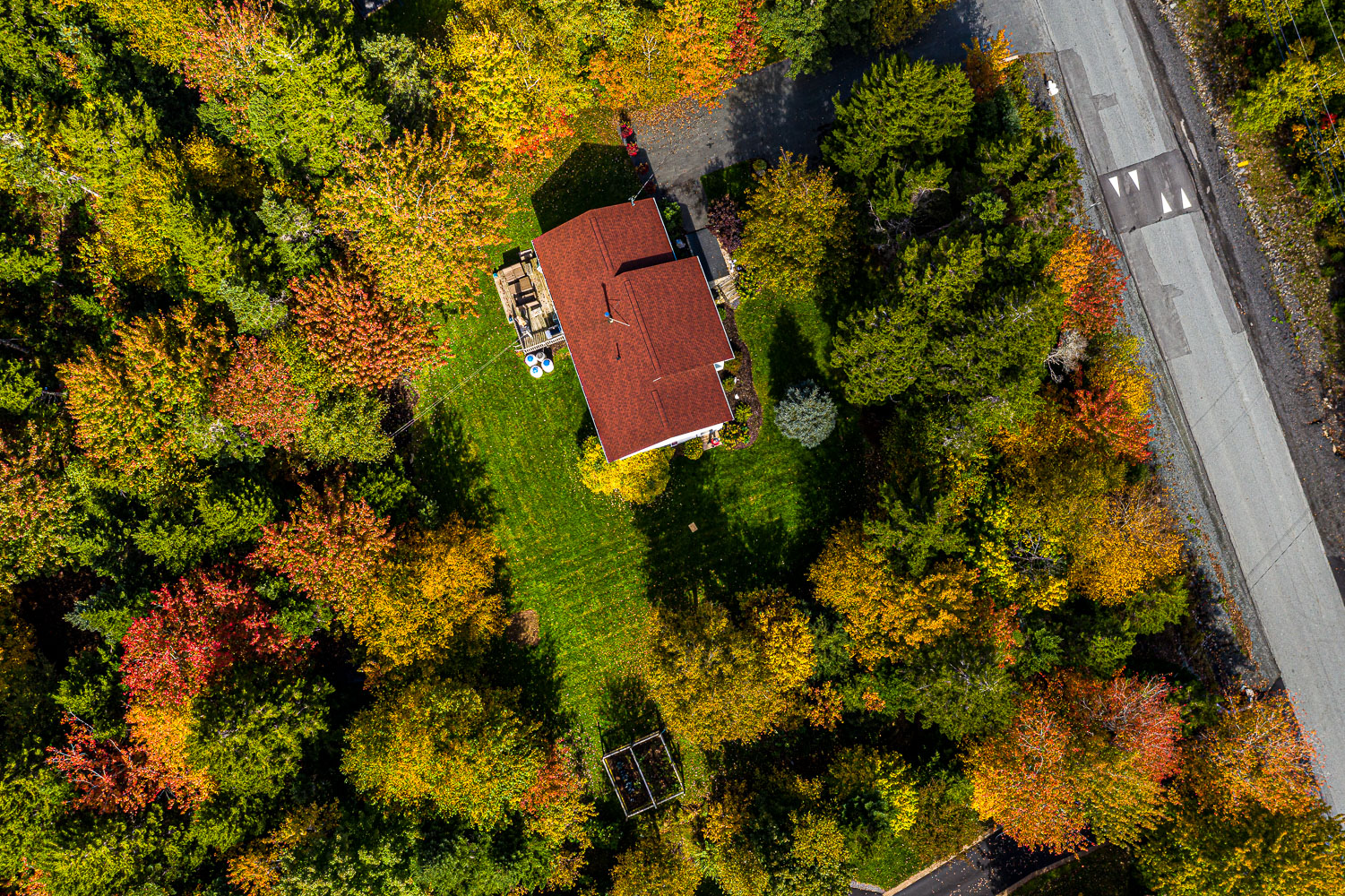 Fall_18_93280_DJI_0019.jpg