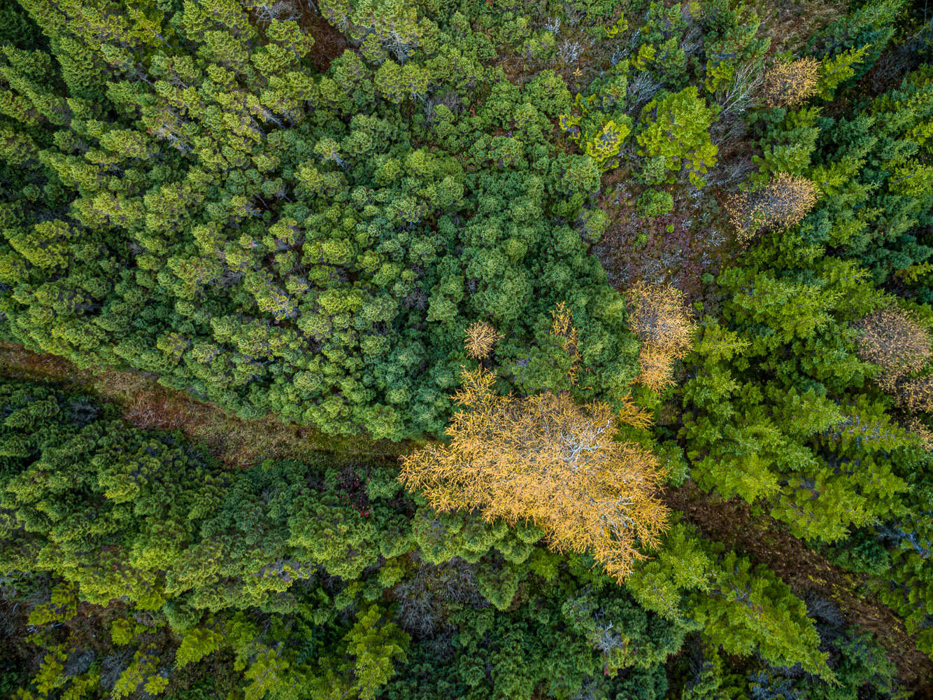 GirlsUS_15_70950_DJI_0441-HDR.jpg