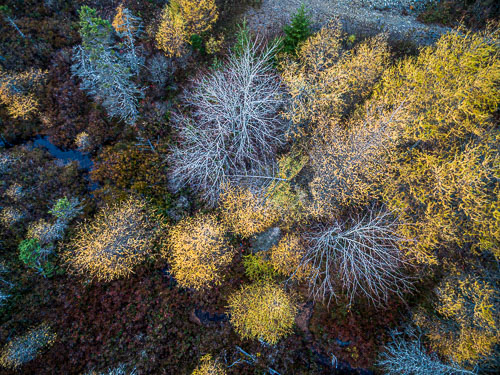 GirlsUS_15_70905_DJI_0810-HDR.jpg