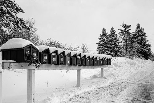 Antigonish_13_48676__MG_2541.jpg