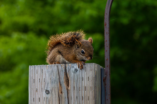 Home_14_51716__MG_3757.jpg