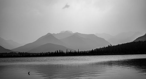BC Fires Smoky Black and White