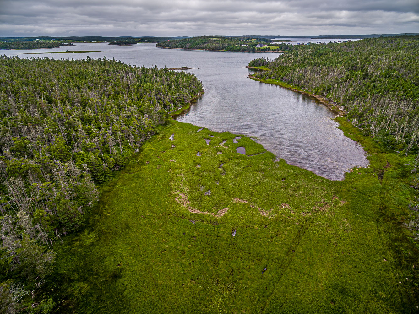 LisCot-Drone_15_66875_DJI_0722-HDR.jpg