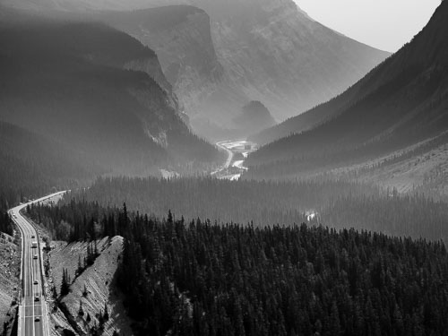 BC fires Smokey black and white