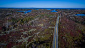 Blue Rocks